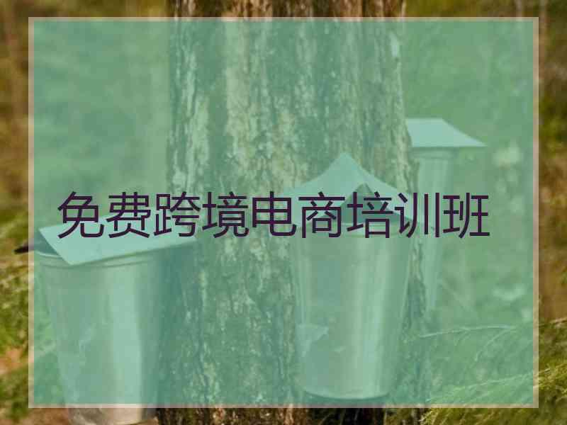 免费跨境电商培训班