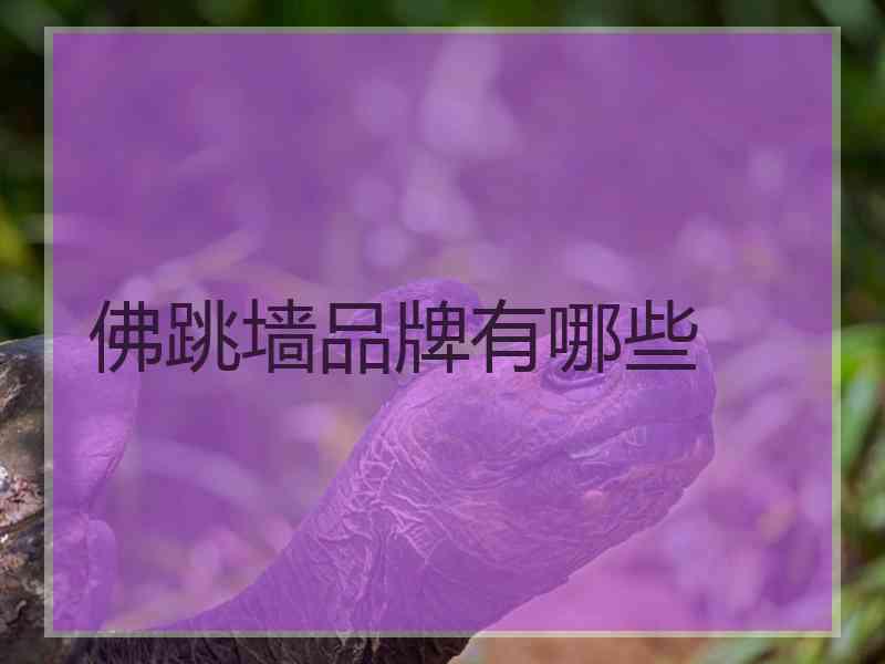 佛跳墙品牌有哪些