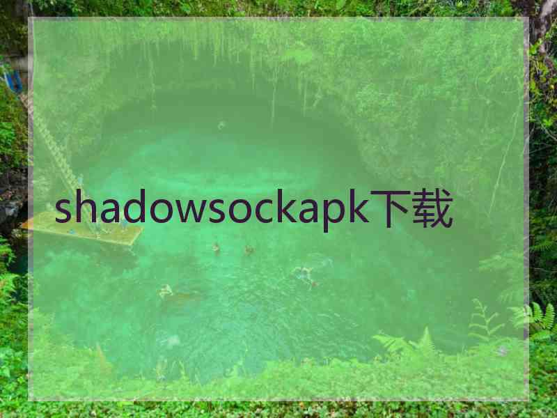 shadowsockapk下载