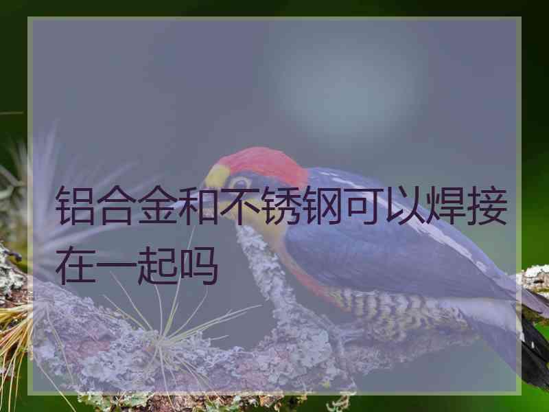铝合金和不锈钢可以焊接在一起吗