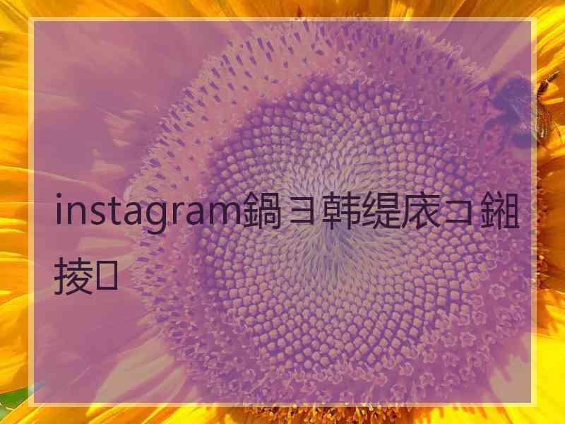 instagram鍋ヨ韩缇庡コ鎺掕