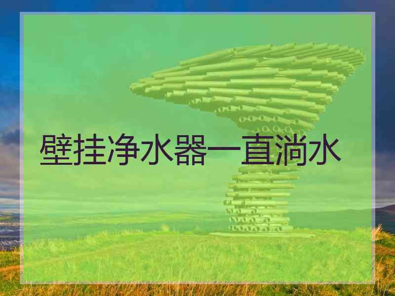 壁挂净水器一直淌水