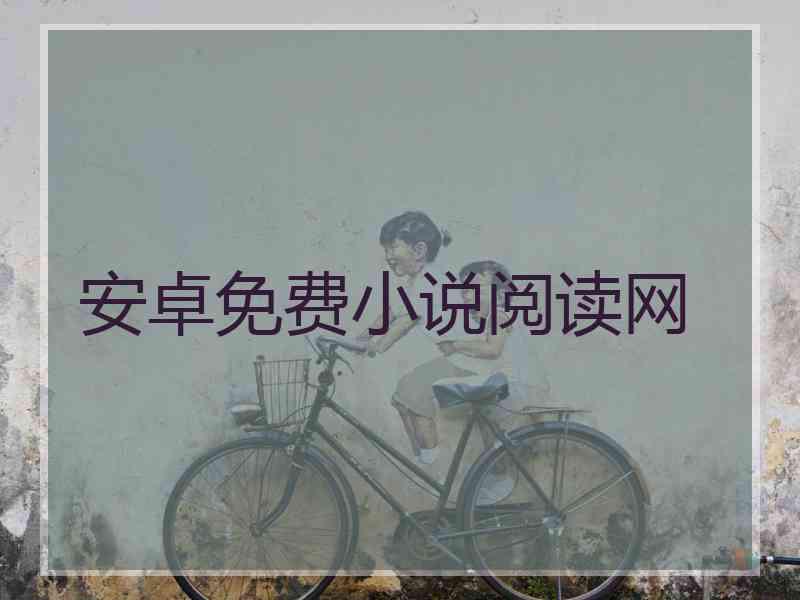 安卓免费小说阅读网