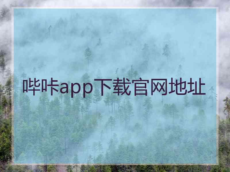 哔咔app下载官网地址