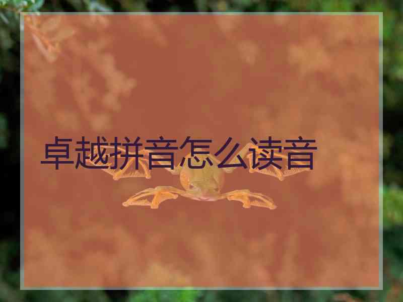 卓越拼音怎么读音