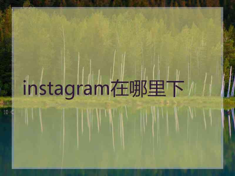 instagram在哪里下