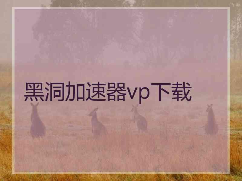 黑洞加速器vp下载