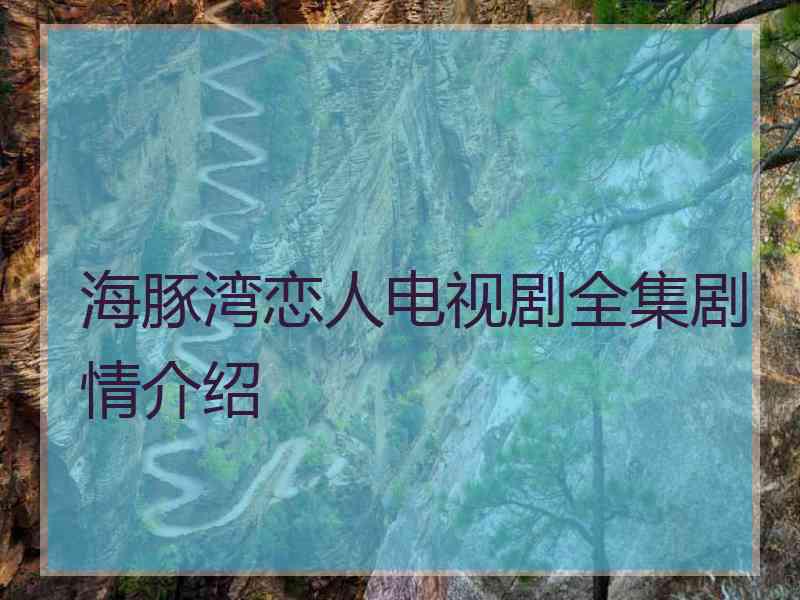 海豚湾恋人电视剧全集剧情介绍