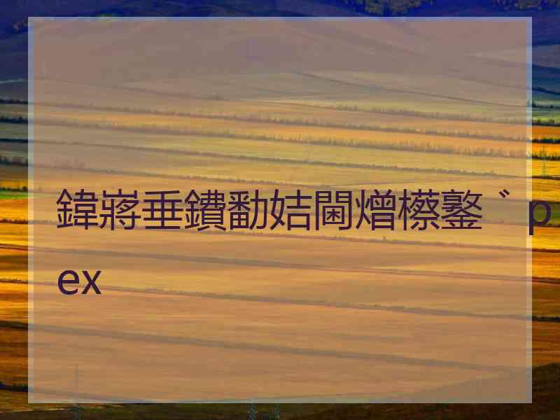 鍏嶈垂鐨勫姞閫熷櫒鐜゛pex