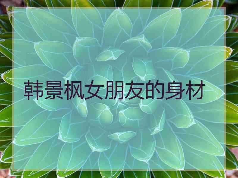 韩景枫女朋友的身材