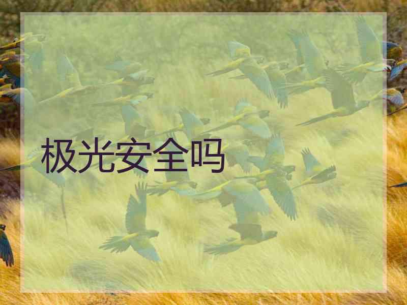 极光安全吗