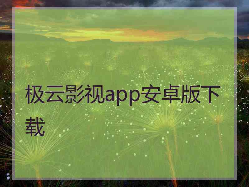 极云影视app安卓版下载
