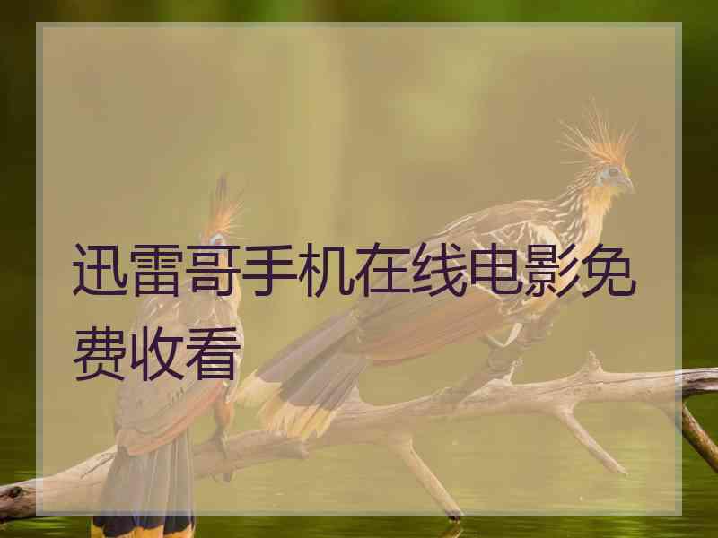 迅雷哥手机在线电影免费收看