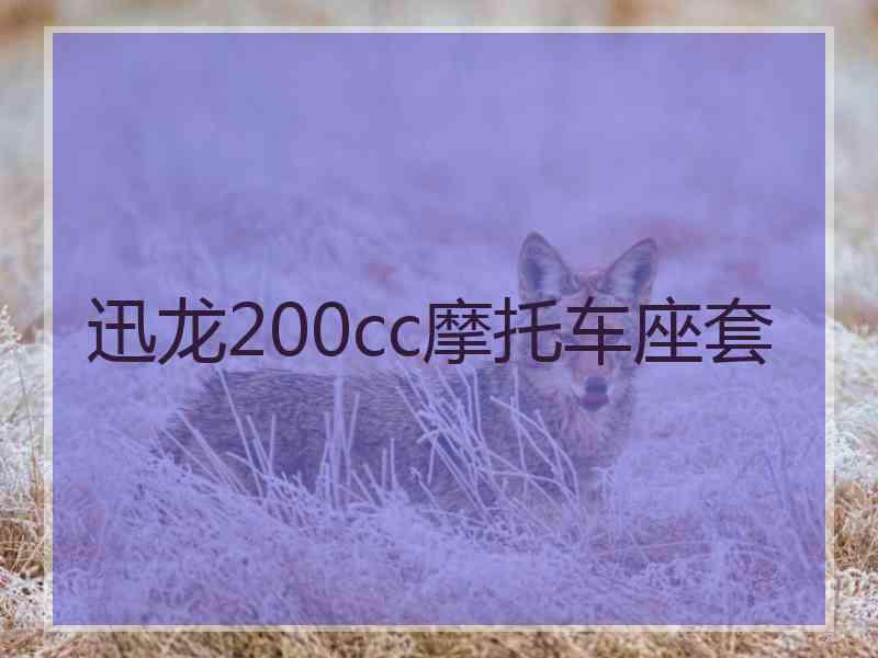迅龙200cc摩托车座套