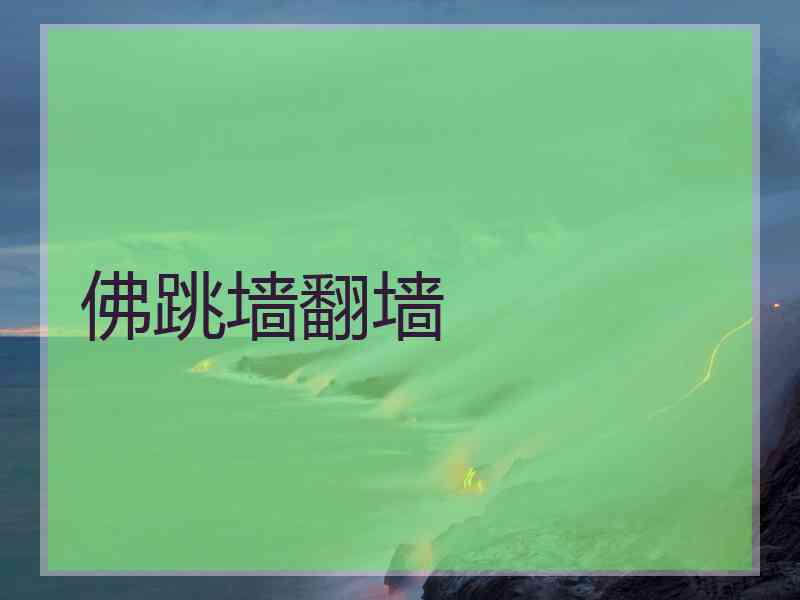 佛跳墙翻墙