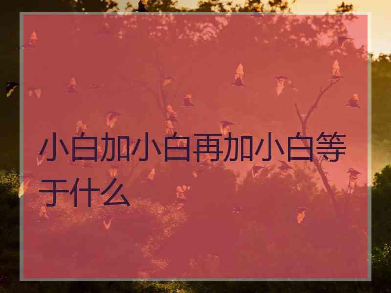 小白加小白再加小白等于什么