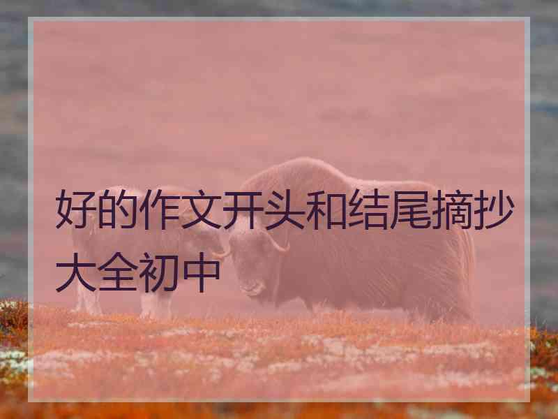 好的作文开头和结尾摘抄大全初中