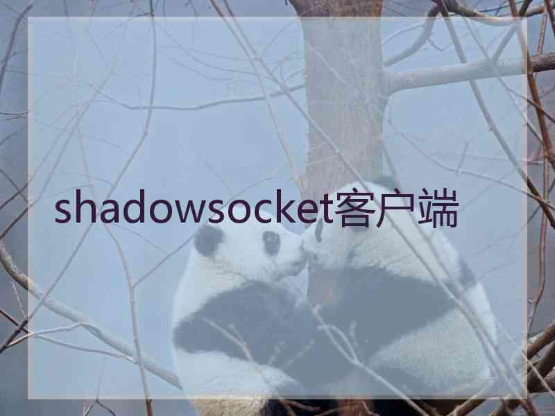shadowsocket客户端