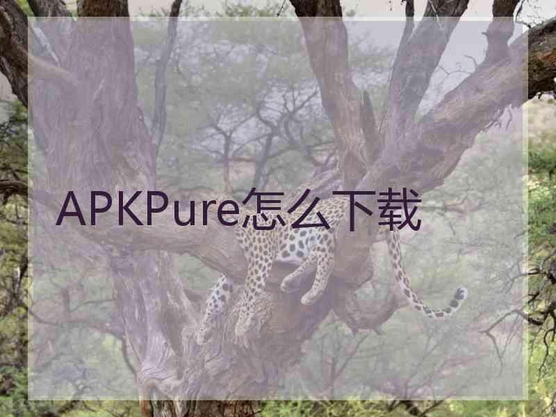 APKPure怎么下载