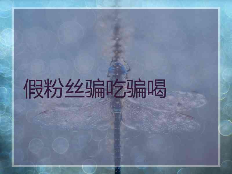 假粉丝骗吃骗喝