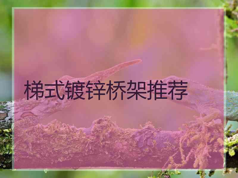 梯式镀锌桥架推荐