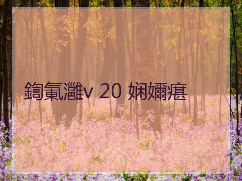 鍧氭灉v 20 娴嬭瘎