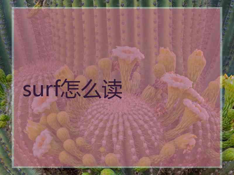 surf怎么读