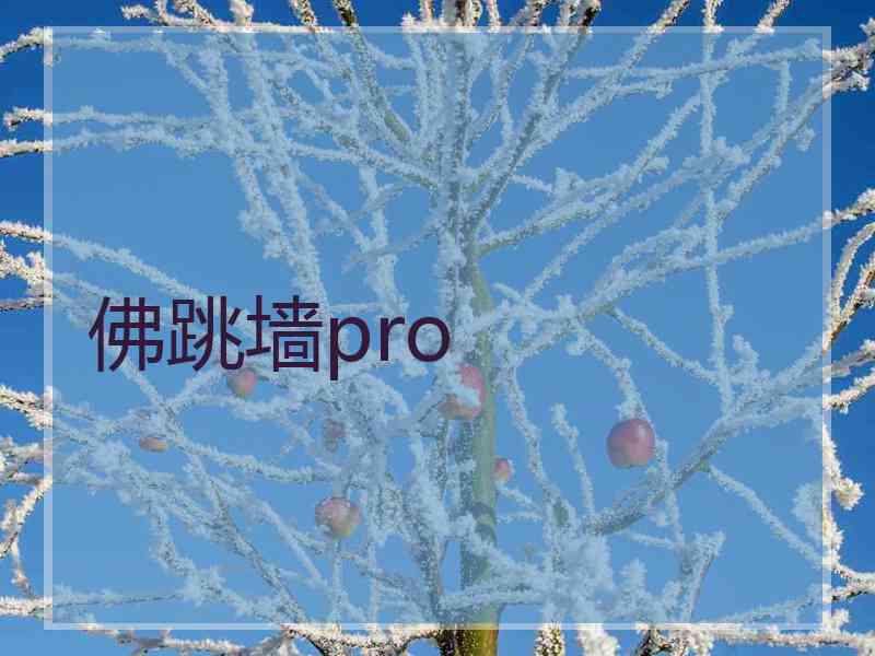佛跳墙pro