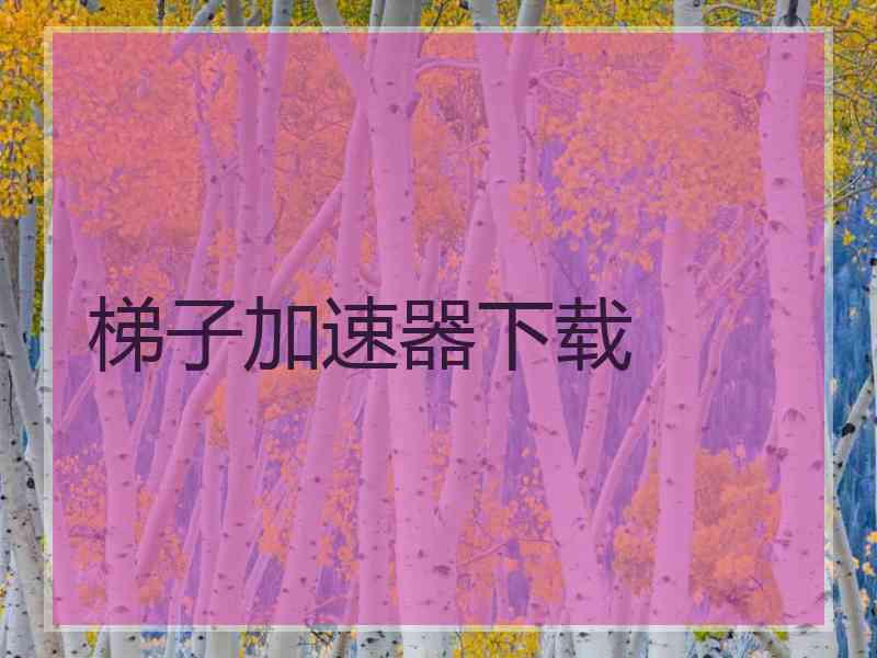 梯子加速器下载