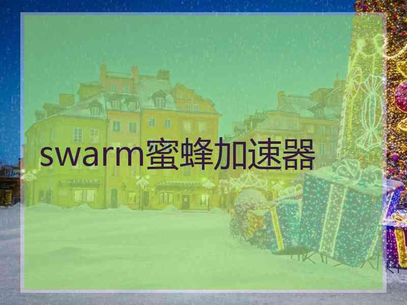 swarm蜜蜂加速器