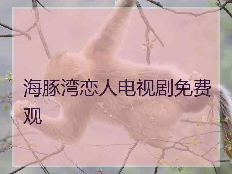 海豚湾恋人电视剧免费观