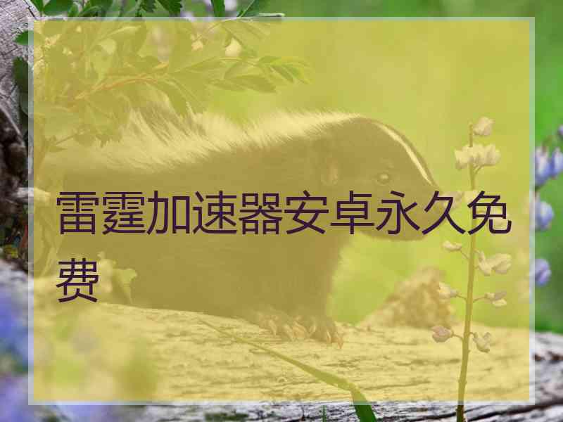 雷霆加速器安卓永久免费