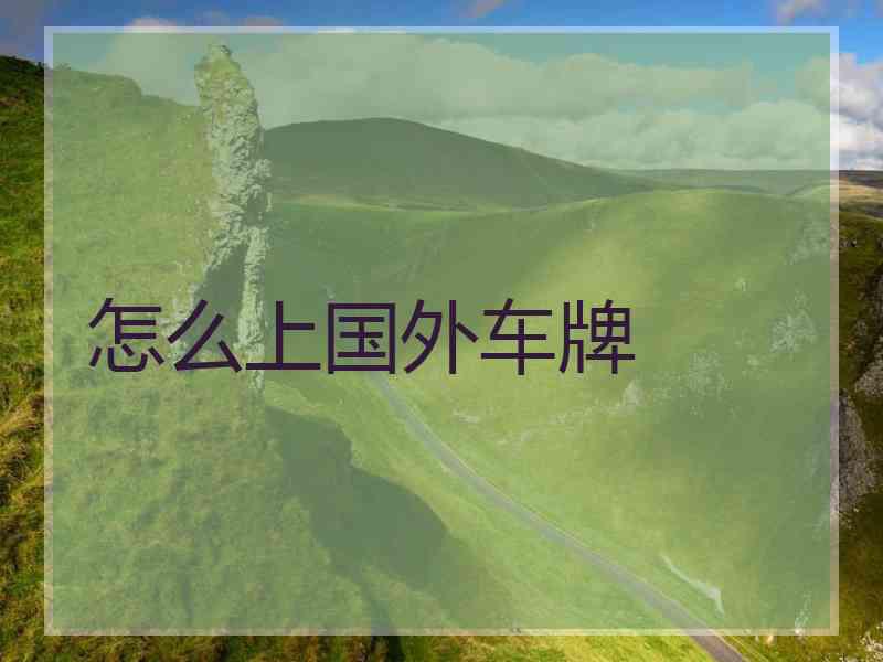 怎么上国外车牌