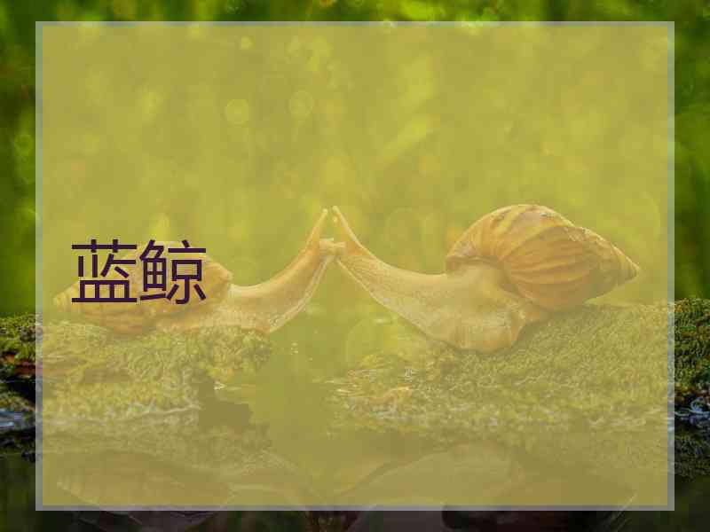 蓝鲸