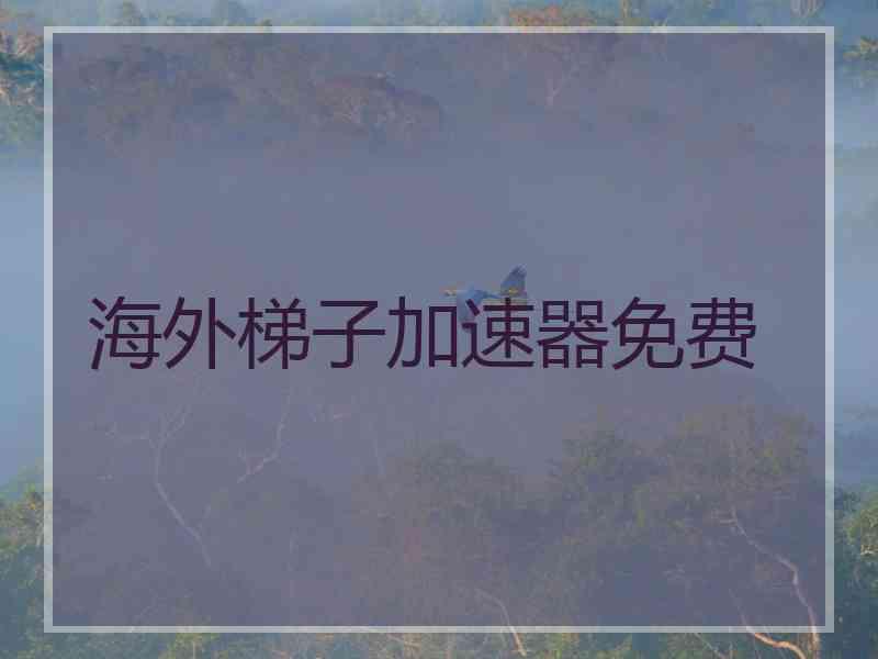 海外梯子加速器免费