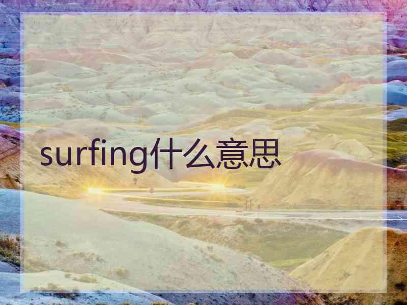 surfing什么意思