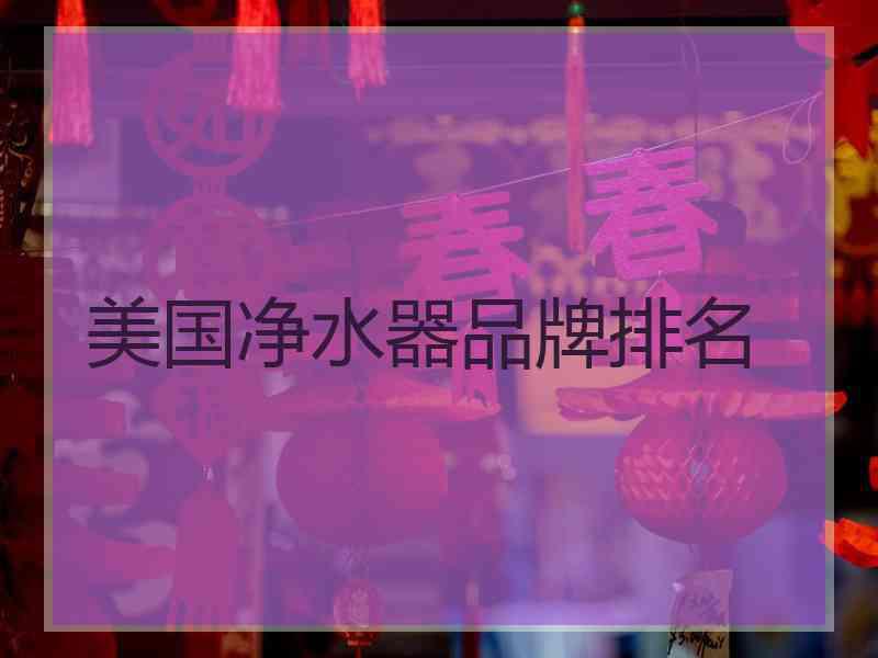 美国净水器品牌排名
