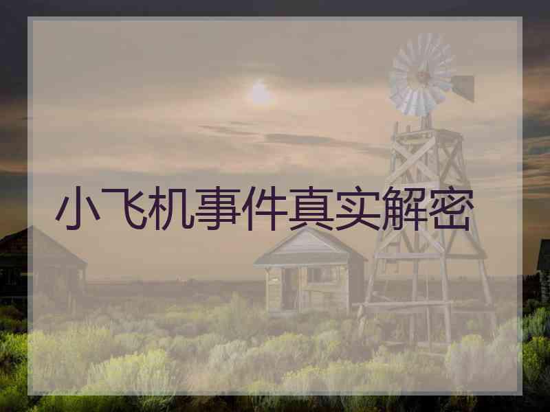 小飞机事件真实解密