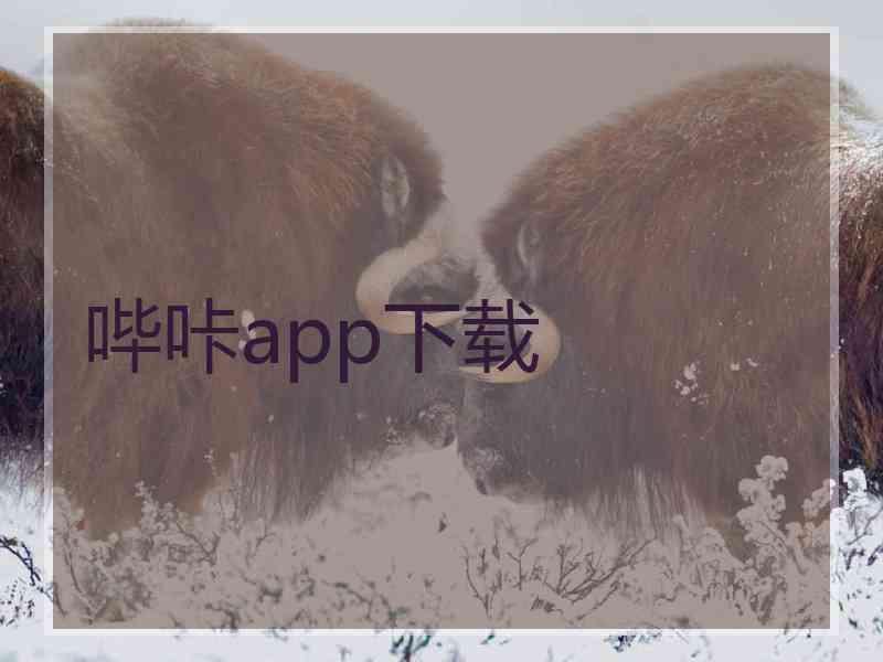哔咔app下载