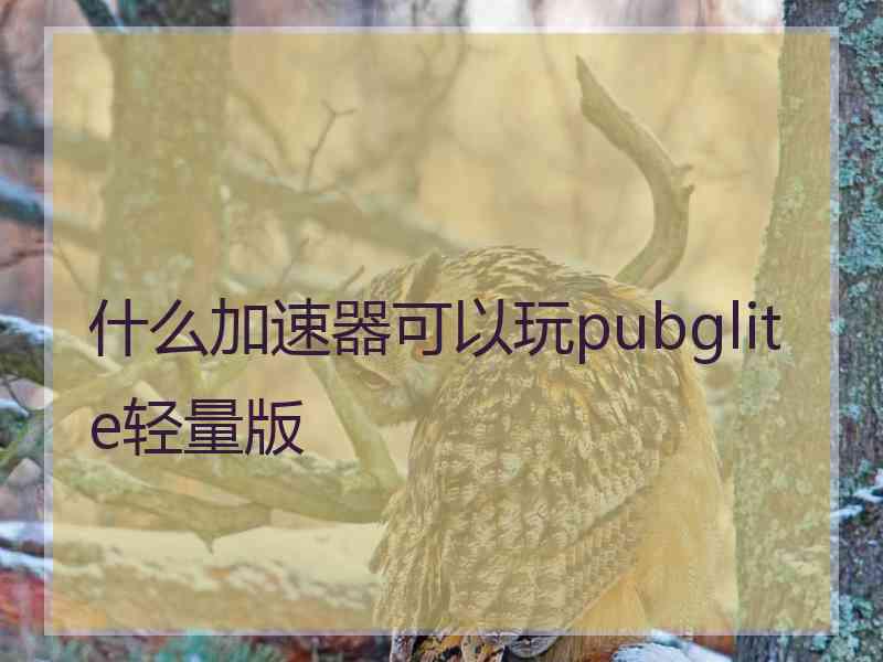 什么加速器可以玩pubglite轻量版