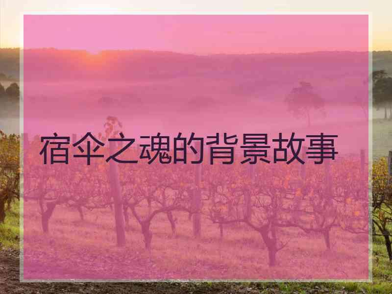 宿伞之魂的背景故事