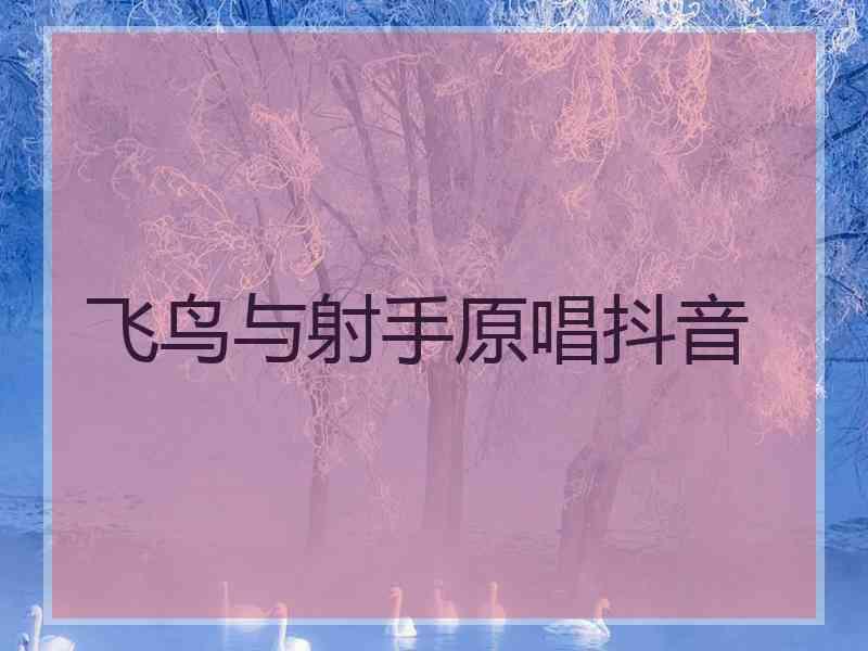 飞鸟与射手原唱抖音