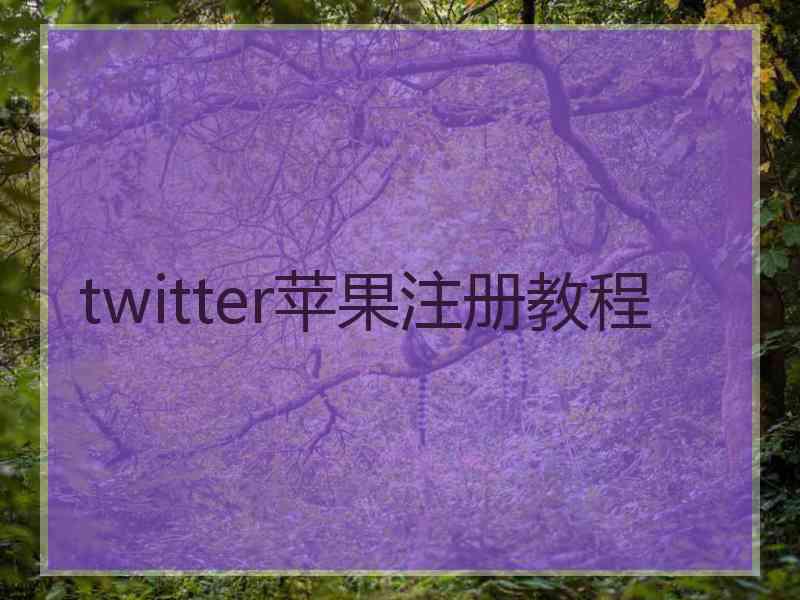 twitter苹果注册教程