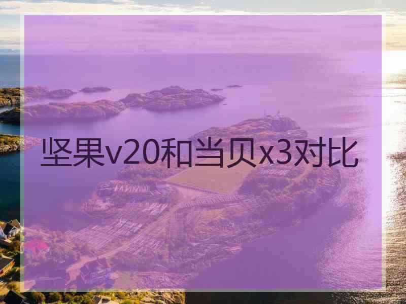 坚果v20和当贝x3对比