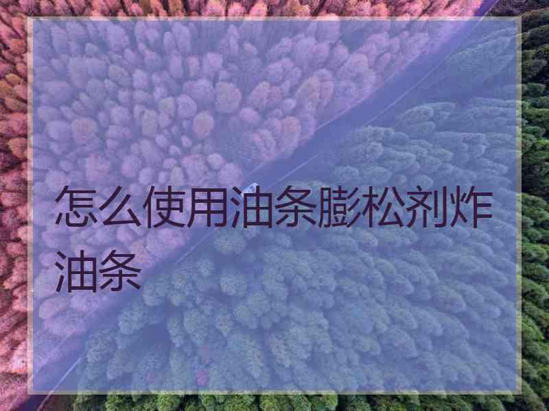 怎么使用油条膨松剂炸油条