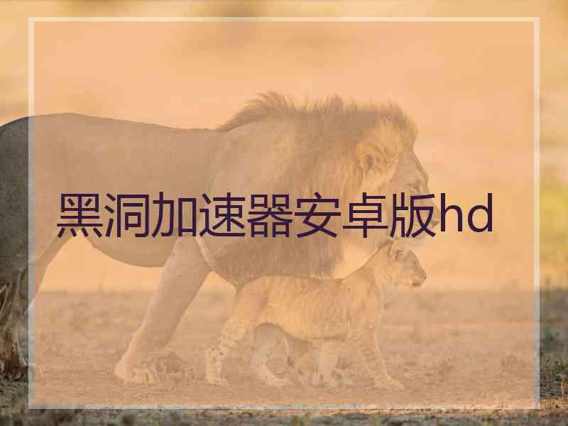 黑洞加速器安卓版hd