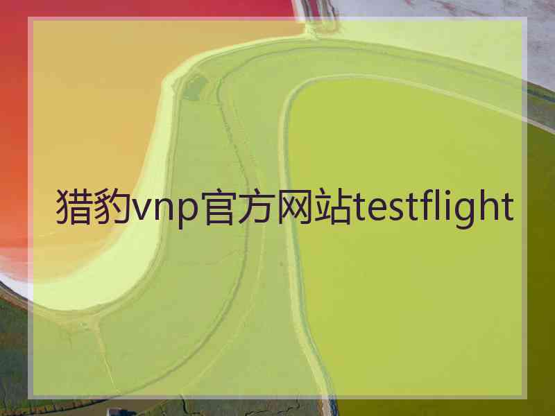 猎豹vnp官方网站testflight