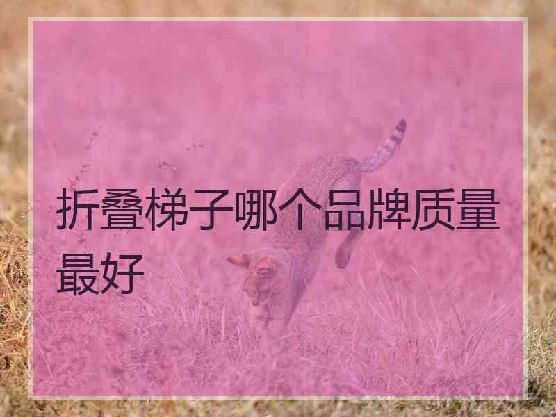 折叠梯子哪个品牌质量最好