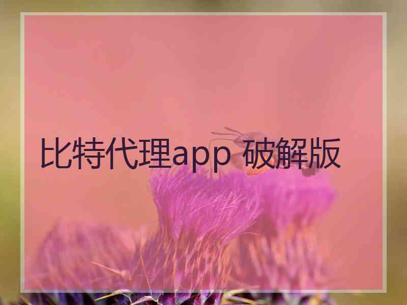 比特代理app 破解版