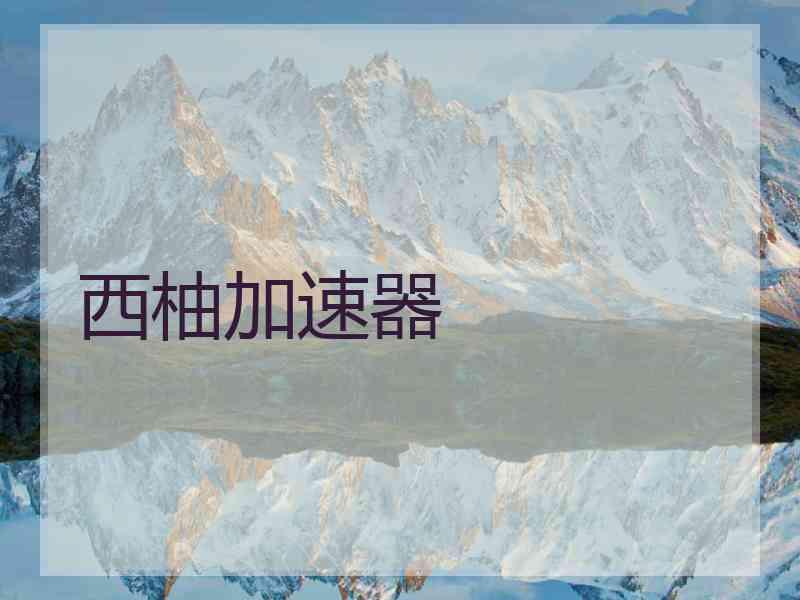 西柚加速器